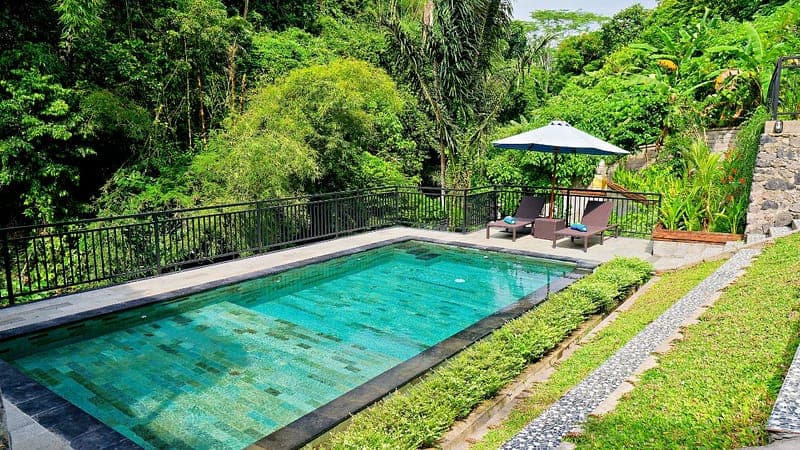 Jungle Lagoon Pool